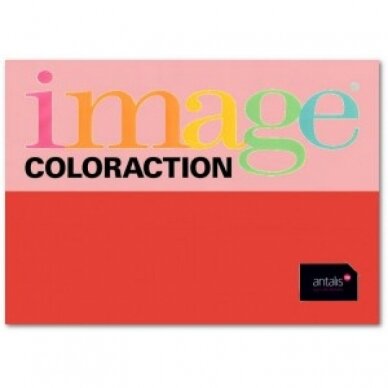 Spalvotas popierius Image Coloraction, A4, įvairių sapvų, 80gsm, 500 lapų 5