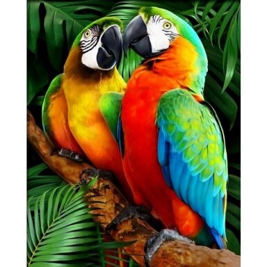 Tapybos pagal skaičius rinkinys FLAMINGO – DVI PAPŪGOS, 30X40CM