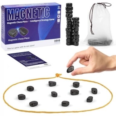 Žaidimas magnetinis 20vnt. šeimai Nr.8888